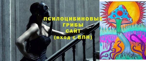 дмт Нягань